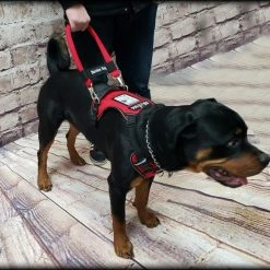 No Pull Service Dog Harness - Front-Range -Puppy`s Store 707578 8 full 54506.1647865607