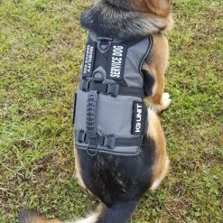 Service Dog Saddle Bag Grocery Getter Harness Vest -Puppy`s Store 707579 17 full 76132.1638911468