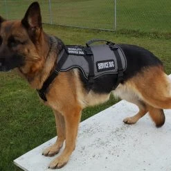 Service Dog Saddle Bag Grocery Getter Harness Vest -Puppy`s Store 707579 20 full 35440.1638911455