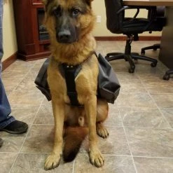 Service Dog Saddle Bag Grocery Getter Harness Vest -Puppy`s Store 707579 23 full 71517.1638911465