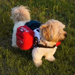 Patriotic Tri Pack Service Dog Vest -Puppy`s Store 707584 11 full 06498.1638911459