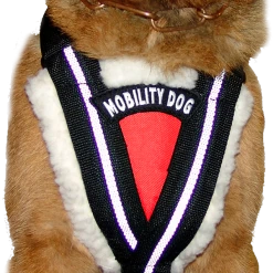 Service Dog Padded Pulling & Balance Harness -Puppy`s Store 707586 10 full 50335.1638911389