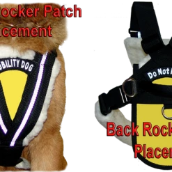 Service Dog Padded Pulling & Balance Harness -Puppy`s Store 707586 3 full 37769.1638911399