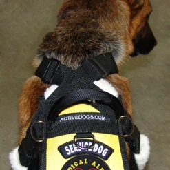 Service Dog Padded Pulling & Balance Harness -Puppy`s Store 707586 5 full 96074.1638911396