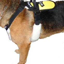 Service Dog Padded Pulling & Balance Harness -Puppy`s Store 707586 6 full 01013.1638911400