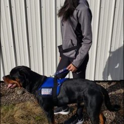 Padded Harness Vest With Window -Puppy`s Store 707587 108 full 71926.1667822799