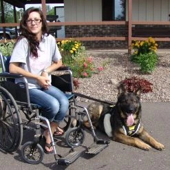 Wheelchair Pulling Leash 12 Wheelchair Pulling Leash -Puppy`s Store 707588 5 full 13072.1638911365