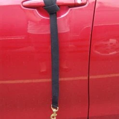 Wheelchair Pulling Leash 13 Wheelchair Pulling Leash -Puppy`s Store 707588 6 full 34214.1638911368