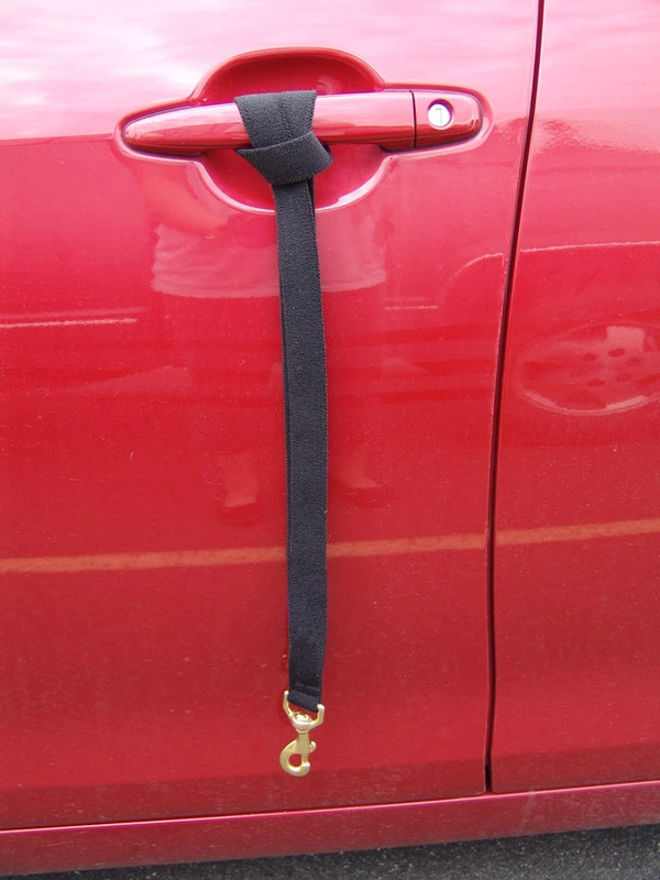 Wheelchair Pulling Leash 7 Wheelchair Pulling Leash - Image 7