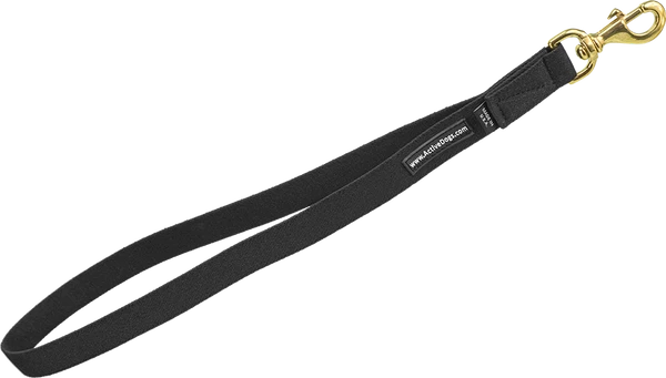 Wheelchair Pulling Leash 1 Wheelchair Pulling Leash