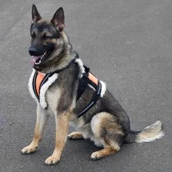 Search & Rescue Hi-Vis Tracking Harness -Puppy`s Store 707591 11O full 69842.1638911437