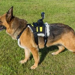 Search & Rescue Hi-Vis Tracking Harness -Puppy`s Store 707591 6 full 96107.1638911443