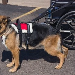 Wheelchair Pulling Harness -Puppy`s Store 707592 1 full 70107.1638911450