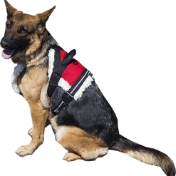 Puppy`s Store -Puppy`s Store 707592 22 full 20454.1638911460