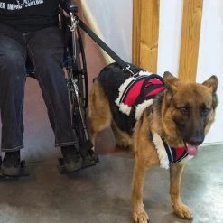 Wheelchair Pulling Harness -Puppy`s Store 707592 4 full 75773.1638911452