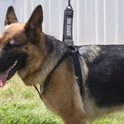 Personalized Step-in Service Dog Harness & Leash -Puppy`s Store 707594 1 full 67778.1638911442
