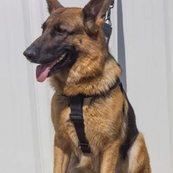 Personalized Step-in Service Dog Harness & Leash -Puppy`s Store 707594 2 full 16841.1638911446