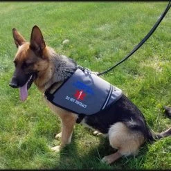 Service Dog/Therapy Dog ID Cape Vest -Puppy`s Store 707599 5 full 14190.1638911488