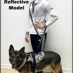 Hands Free Crossbody Service Dog Leash 15 Hands Free Crossbody Service Dog Leash -Puppy`s Store 707615 R 3 full 78257.1654083508