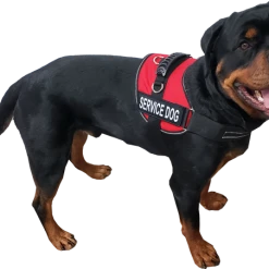 Service Dog Mesh Or Padded Air-Tech Vest -Puppy`s Store 707643 2C full 64680.1649066682