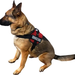 Service Dog Mesh Or Padded Air-Tech Vest -Puppy`s Store 707643 2M full 40954.1649066682