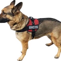 Service Dog Mesh Or Padded Air-Tech Vest -Puppy`s Store 707643 4M full 77042.1649066682