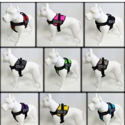 Padded Air-Tech Service Dog Harness Vest - 13 Color Variety -Puppy`s Store 707644 102 full 16102.1638911452