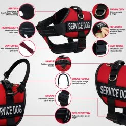Service Dog Starter Kit - Padded Air-Tech Service Dog Harness Vest + Clip-on Bridge Handle & More -Puppy`s Store 707645 Ad20Features full 43078.1653306090