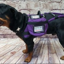 Service Dog Clip-on Large Bag W/ ID Window -Puppy`s Store 707761 11 full 69074.1638911518