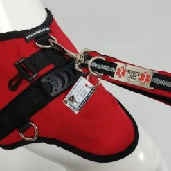 Service Dog Reflective Built-In Poop Bag Leash - 13 Color Variety -Puppy`s Store 707763 11 full 73471.1638911510