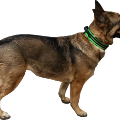 Service Dog Reflective Patch Collar W/ Handle -Puppy`s Store 707767 18 full 22860.1638911525