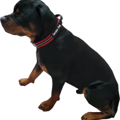 Service Dog Reflective Patch Collar W/ Handle -Puppy`s Store 707767 3 full 25519.1638911521