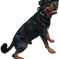 Service Dog Reflective Patch Collar W/ Handle -Puppy`s Store 707767 7 full 05557.1638911518