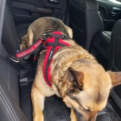 Service Dog Seat Belt Connector -Puppy`s Store 707803 5 full 78553.1638911508