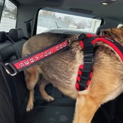 Service Dog Seat Belt Connector -Puppy`s Store 707803 8 full 82411.1638911498