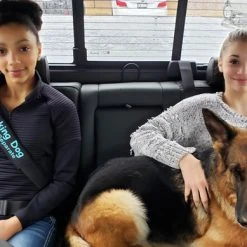 Custom Text Medical Alert Padded Seat Belt Cover 17 Custom Text Medical Alert Padded Seat Belt Cover -Puppy`s Store 707804 6 full 32677.1638911519