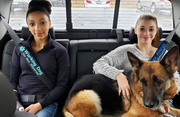 Custom Text Medical Alert Padded Seat Belt Cover 6 Custom Text Medical Alert Padded Seat Belt Cover - Image 6