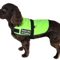 Service Dog Insulated Fleece Vest -Puppy`s Store 707854 60 full 26763.1648468999