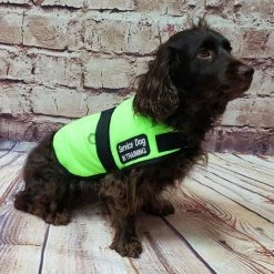 Service Dog Insulated Fleece Vest -Puppy`s Store 707854 63 full 15602.1648468999