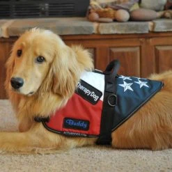 Patriotic Service Dog Vest With Handle -Puppy`s Store 707875 12 full 31521.1650278819