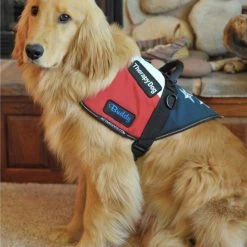 Patriotic Service Dog Vest With Handle -Puppy`s Store 707875 13 full 40004.1650278819