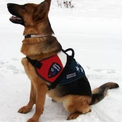 Patriotic Service Dog Vest With Handle -Puppy`s Store 707875 4 full 46317.1650278819