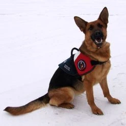 Patriotic Service Dog Vest With Handle -Puppy`s Store 707875 6 full 74494.1650278819