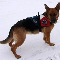 Patriotic Service Dog Vest With Handle -Puppy`s Store 707875 7 full 02253.1650278819