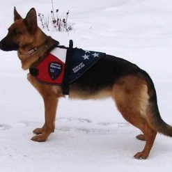 Patriotic Service Dog Vest With Handle -Puppy`s Store 707875 8 full 83853.1650278819