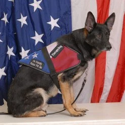 Patriotic Mesh Service Dog Vest -Puppy`s Store 707876 9 full 38906.1656327818
