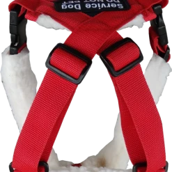 Patriotic Pulling & Balance Harness -Puppy`s Store 707877 7 full 40959.1638911465