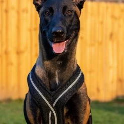 Padded Easy Walk Harness No Pull Dog Vest- Black Reflective Spacer Mesh -Puppy`s Store 707900 105 full 20994.1638911522