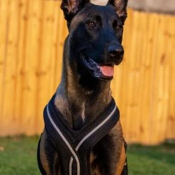 Padded Easy Walk Harness No Pull Dog Vest- Black Reflective Spacer Mesh -Puppy`s Store 707900 106 full 07106.1638911533