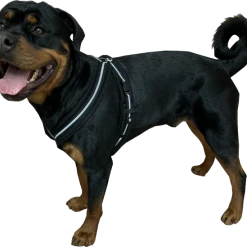 Padded Easy Walk Harness No Pull Dog Vest- Black Reflective Spacer Mesh -Puppy`s Store 707900 11 full 56278.1638911525